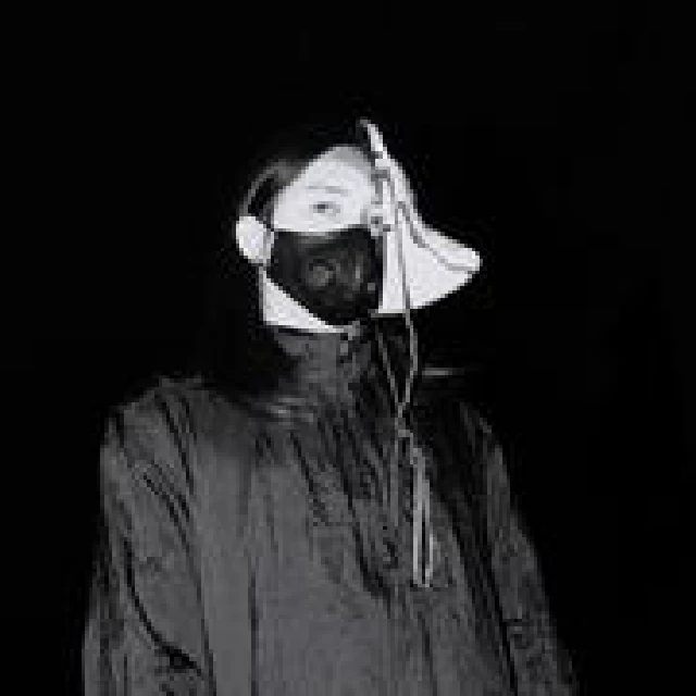 合作艺术家 3